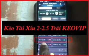 kèo tài xỉu 2-2.5
