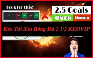 kèo bóng đá tài xỉu 2 1/2 trái